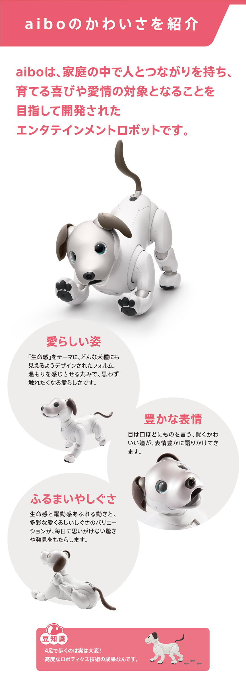 aiboのかわいさを紹介