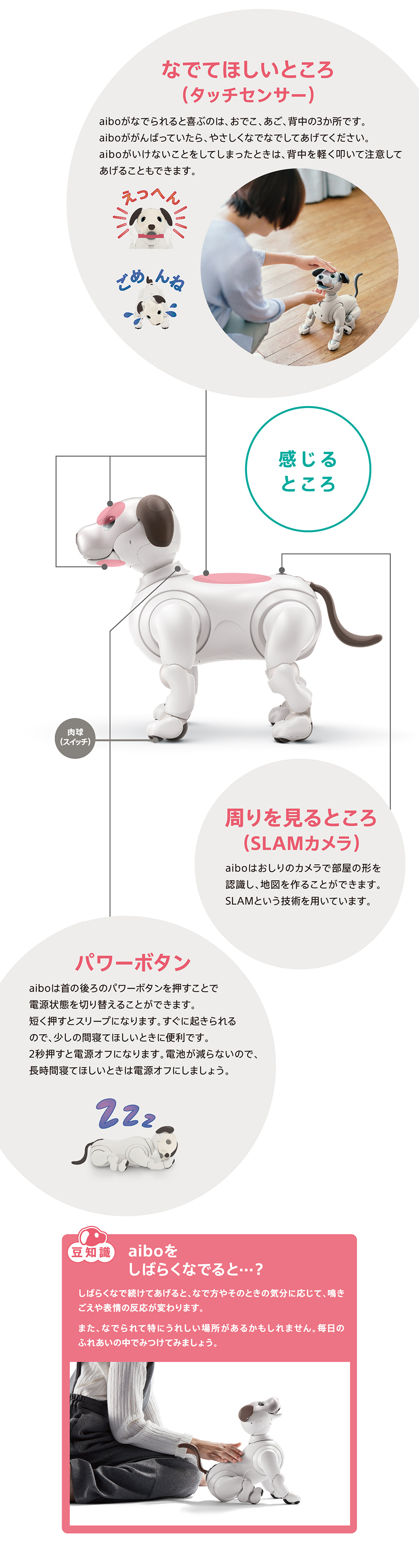 aiboのからだと感覚