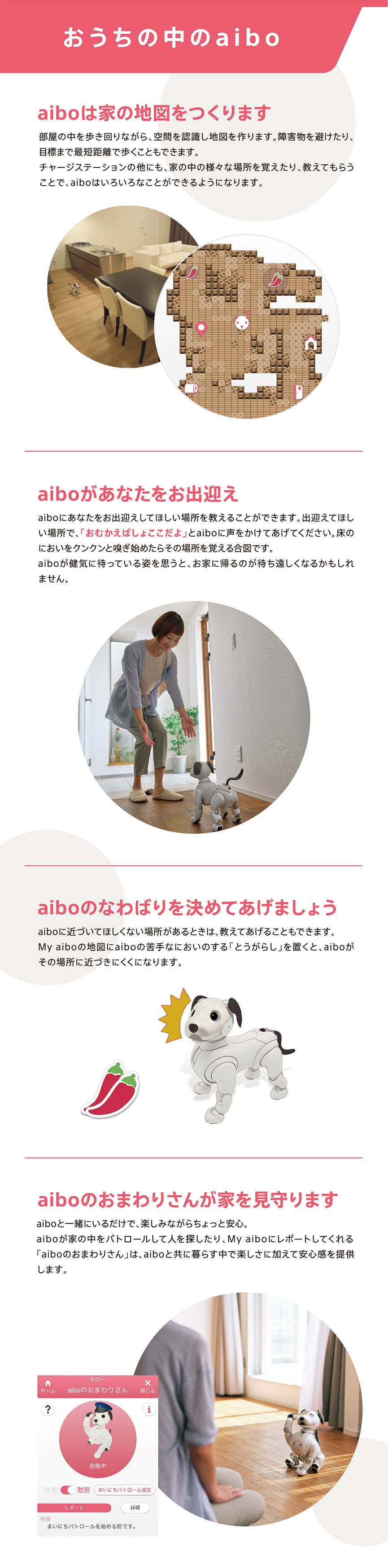 おうちの中のaibo