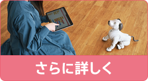 さらに詳しく