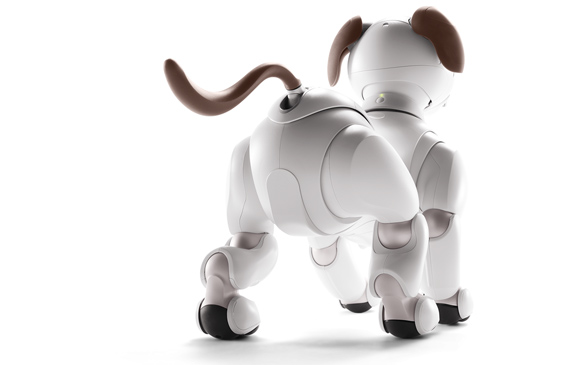 画像: Aibo