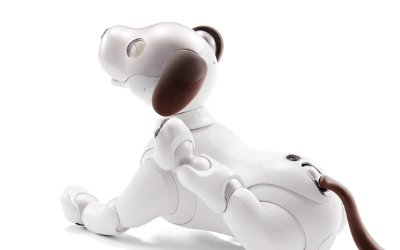 画像: Aibo